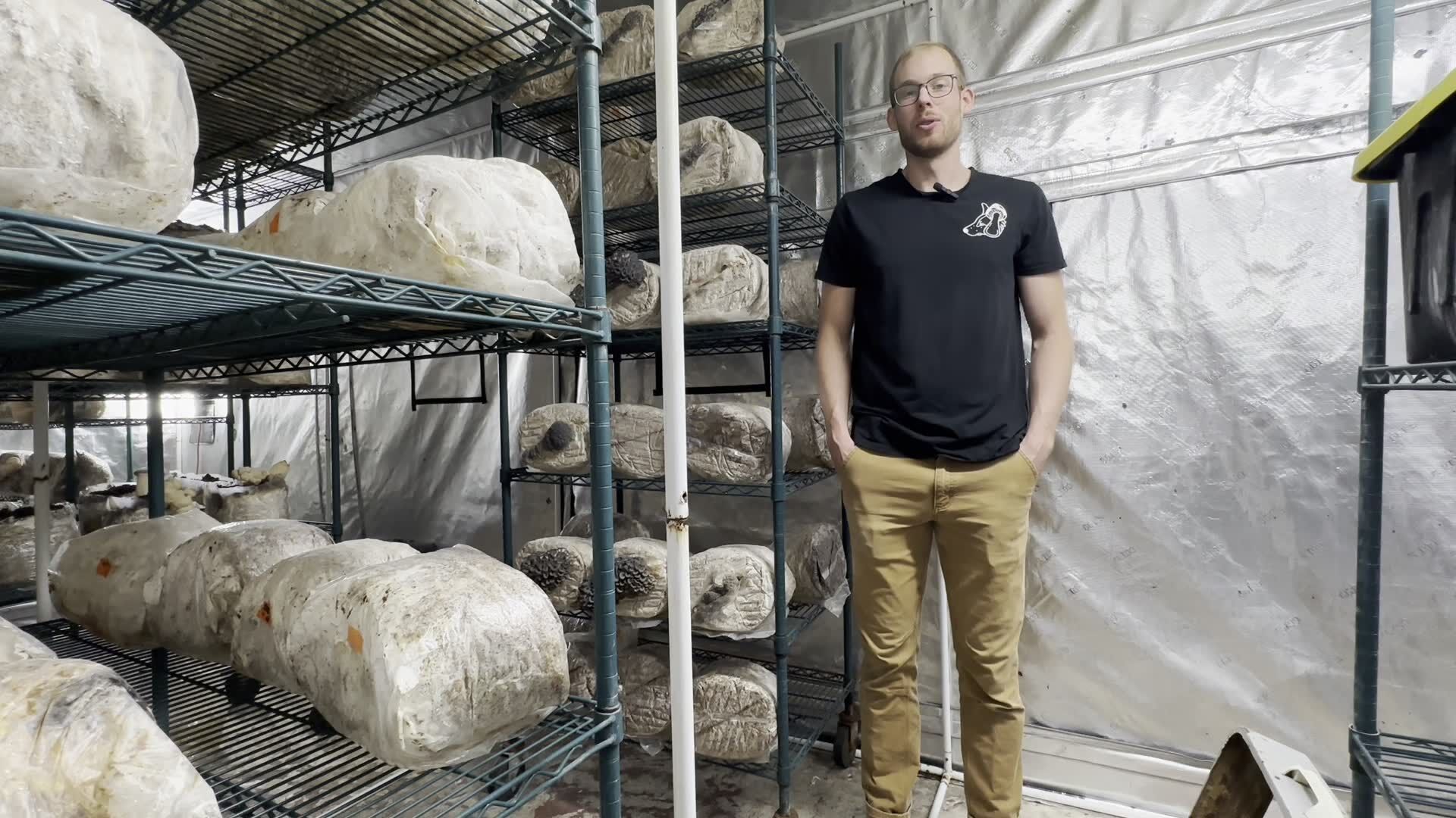 MicroMyco Growers grows 200 pounds of mushrooms a week, owner says